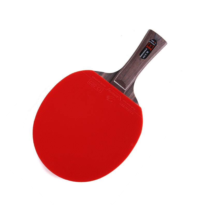 Lemuria EBENHOLZ-卓球ラケット、ピンプルズイ - Table Tennis Forehand Rubber のレビューと価格